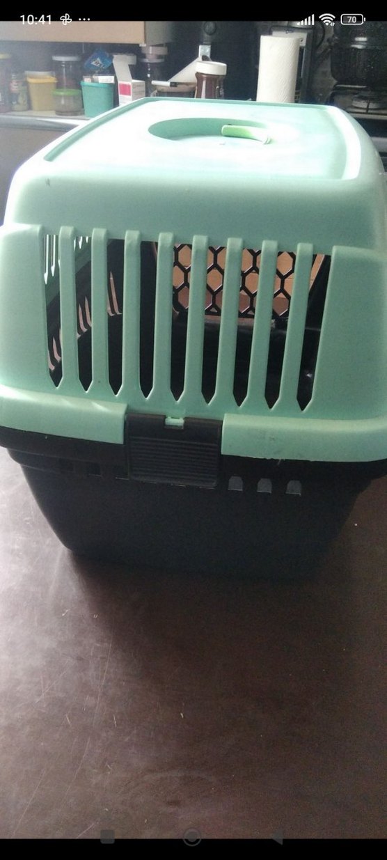 Koyu Yeşil Taşıma ve Tuvalet Kabı - Görsel 4