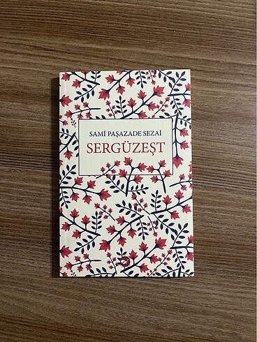 Sami Paşazade Sezai - Sergüzeşt