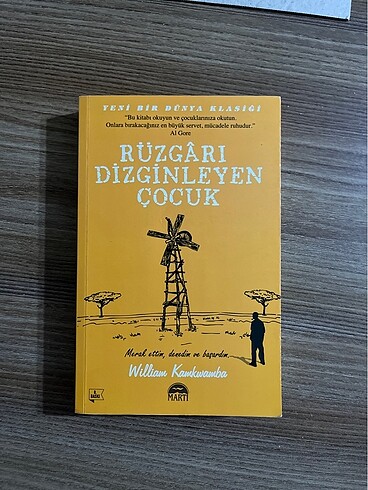 Rüzgarı Dizginleyen Çocuk