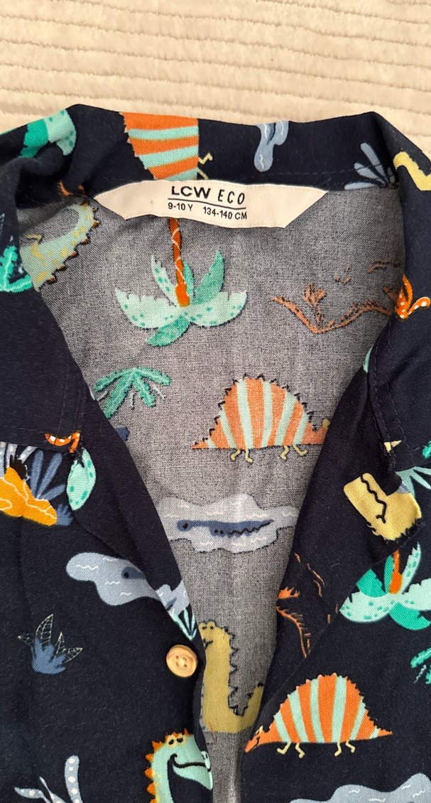 Çok Renkli Baskılı Kısa Kollu Erkek Gömlek - Görsel 2