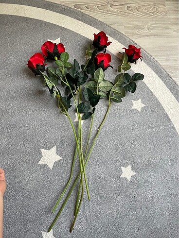 5 adet gül