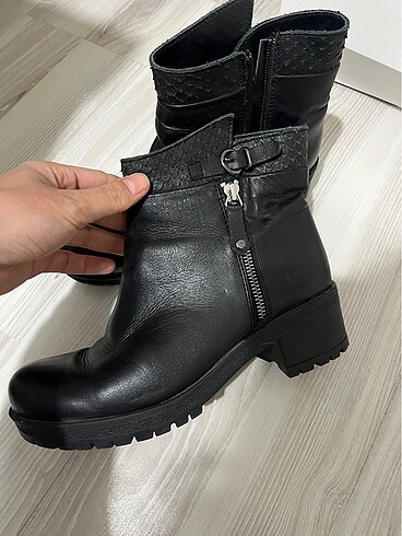 Elle 37 numara bot