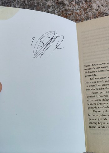 Vikingler - Robert Leighton - Görsel 4