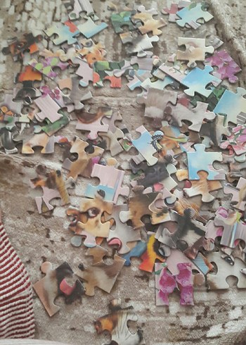 100.parçalı puzzle.