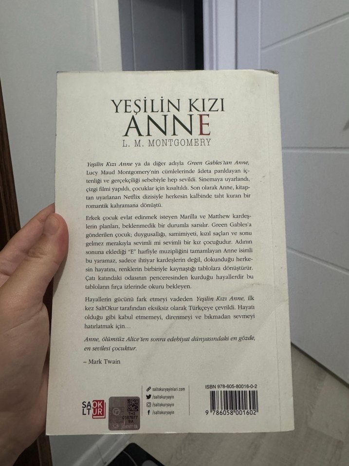 Yeşilin Kızı Anne - L. M. Montgomery - Görsel 2