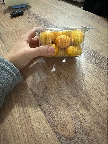 Kumkat bahçemizden