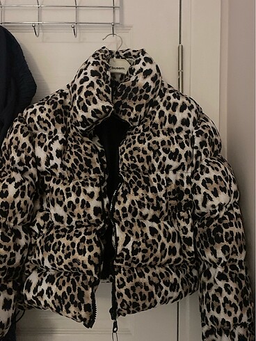 Leopar mont