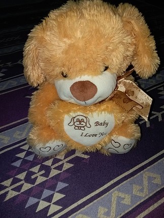 ayicik sifir