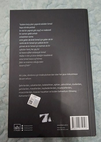 Olmamış Kahraman Emeklisi - Ali Lidar - Görsel 2