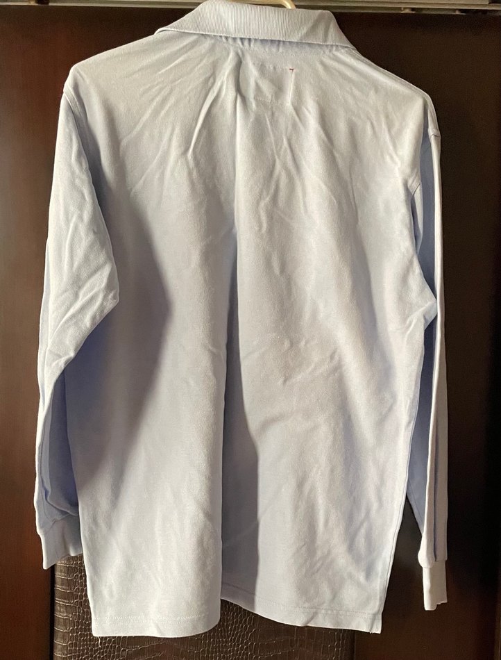 Erkek mavi Pamuklu Uzun Kollu Polo Tişört - Görsel 2