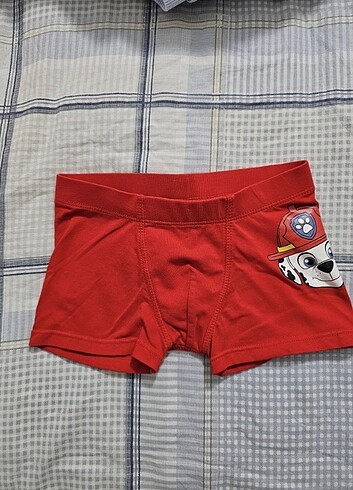 4 Yaş Beden çeşitli Renk Paw patrol çocuk boxer 4-6 yaş (5 adet)