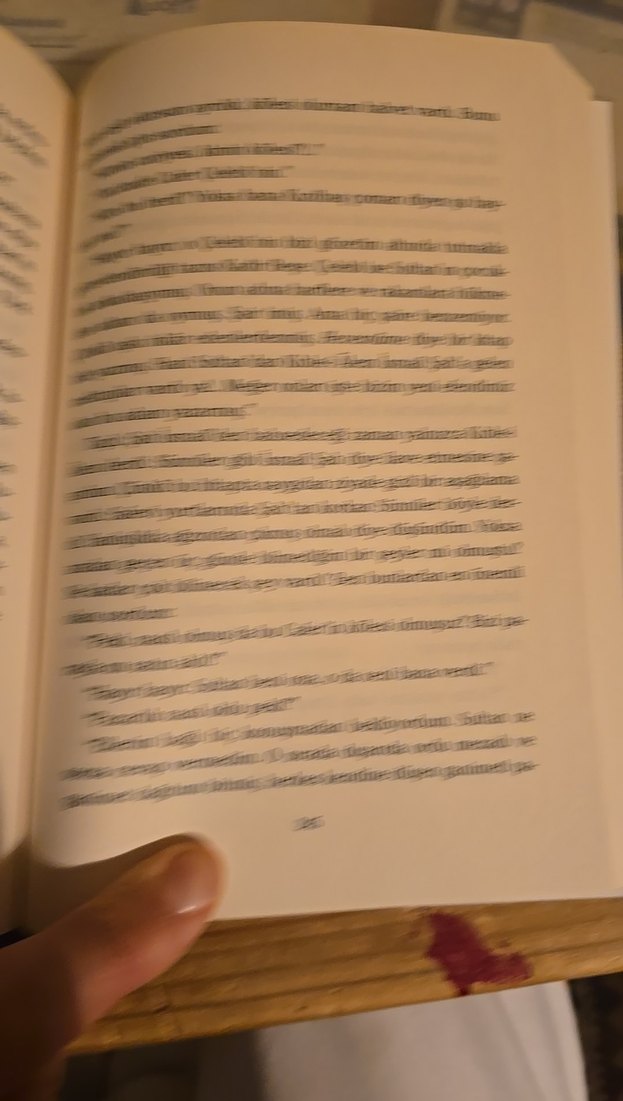 Şah & Sultan - İskender Pala - Görsel 4