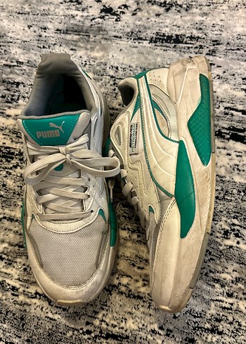 Puma 43