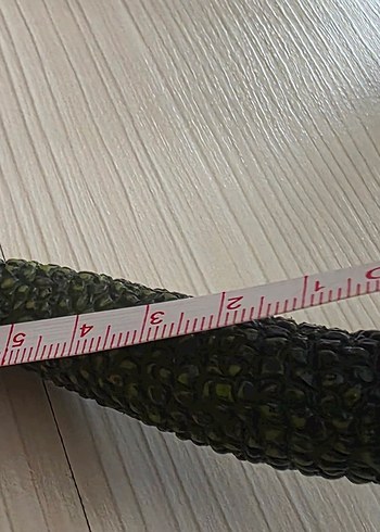 Beden Renk Koyu Siyah Dinozor Aksiyon Figürü