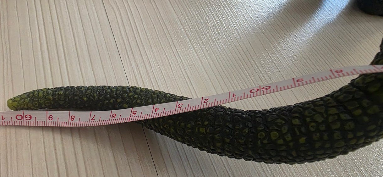 Koyu Siyah Dinozor Aksiyon Figürü - Görsel 4