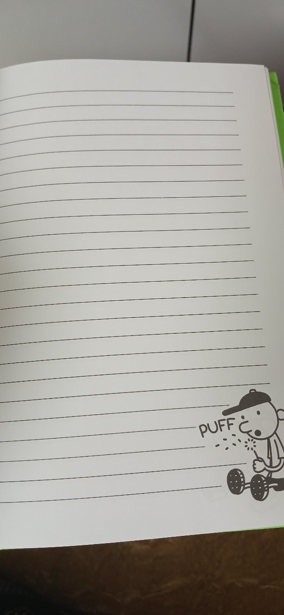 Saftirik Wimpy Kid Hatıra Defteri - Görsel 3