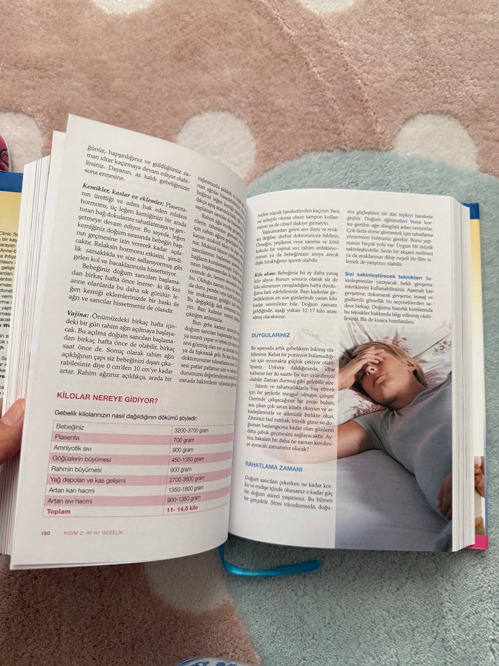 Sağlıklı Gebelik Rehberi - Görsel 2
