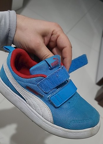 Puma 29