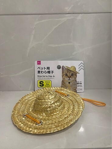 Beden Renk Kedi - köpek aksesuarları