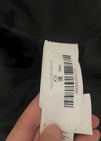 Siyah kaban - Görsel 2