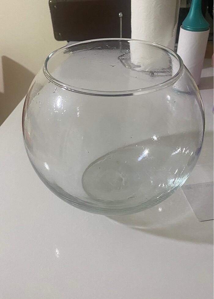 Cam fanus saksı - Görsel 2