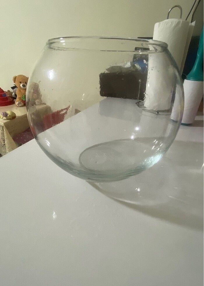 Cam fanus saksı - Görsel 4