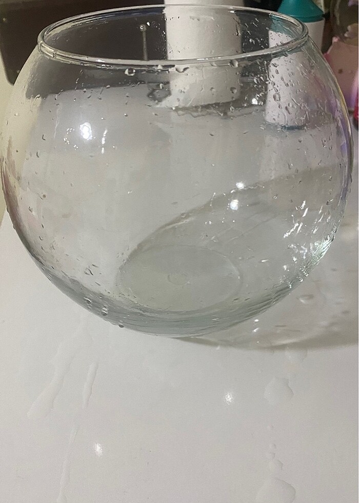 Cam fanus saksı - Görsel 3