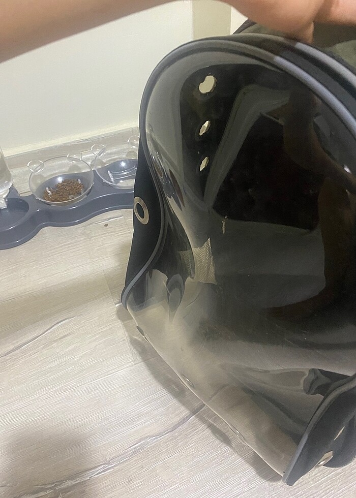 Kedi sırt çantası - Görsel 4