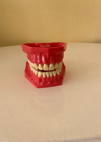 Kırmızı Diş Modeli Kit
