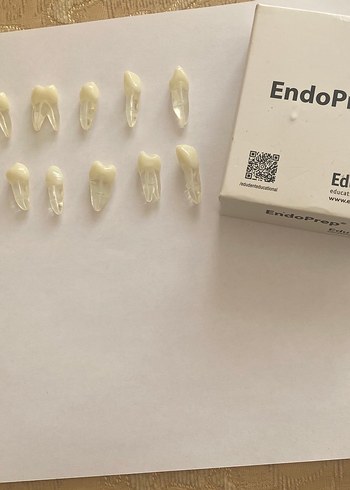 EndoPrep Beyaz Diş Model Kiti