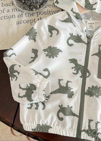 Erkek Bebek Dinazor Desenli Kapüşonlu 2li Takım - Görsel 4