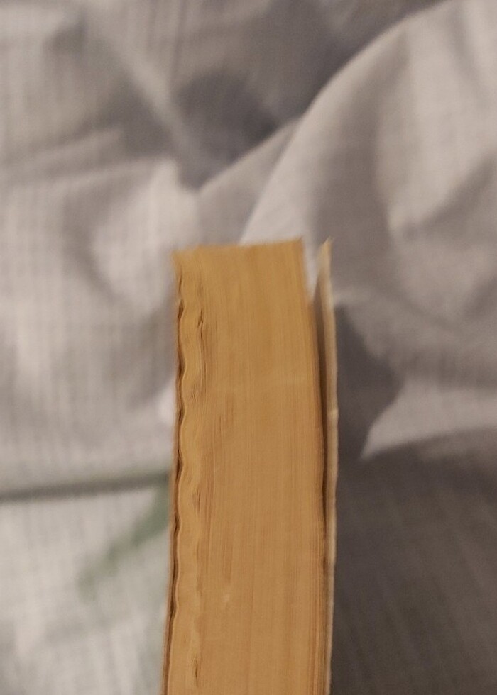 şimşek hırısızı - Görsel 2