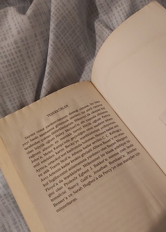 şimşek hırısızı - Görsel 4