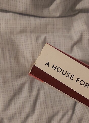 a house for mr biaswas - Görsel 2