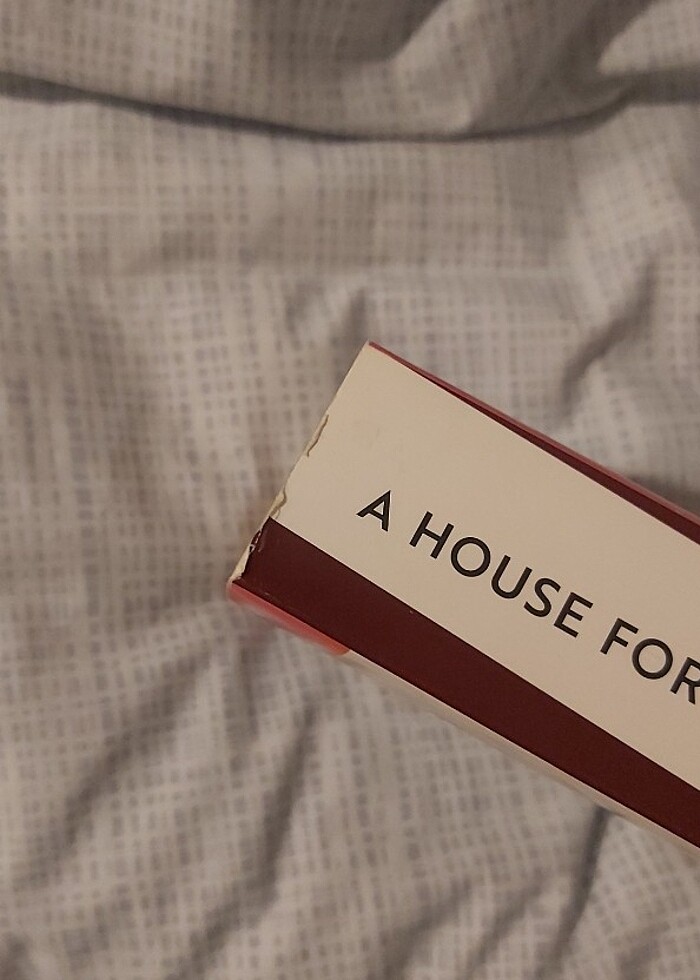 a house for mr biaswas - Görsel 2