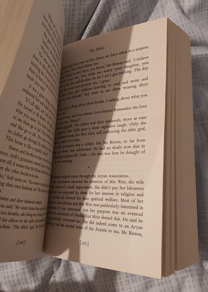 a house for mr biaswas - Görsel 3