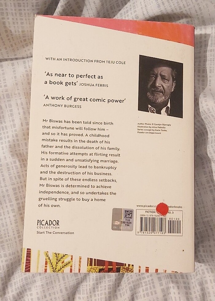 a house for mr biaswas - Görsel 4