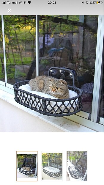 Kedi yatağı