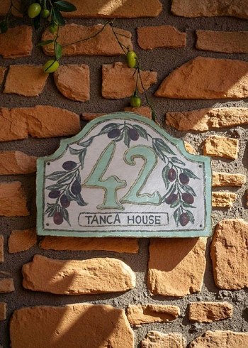 Zeytin Desenli Kapı Numarası 47