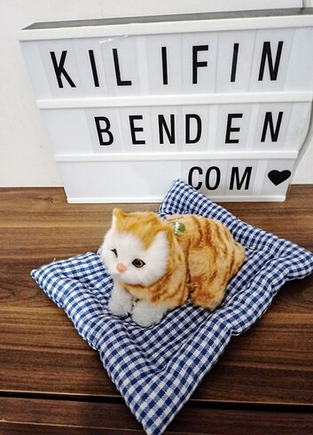 Diğer miyavlayan sesli yastıklı kedi