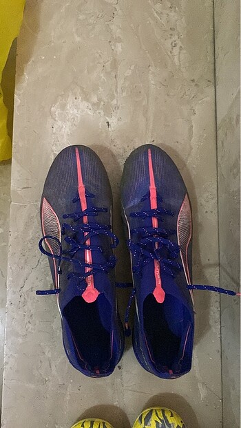 Puma Fature