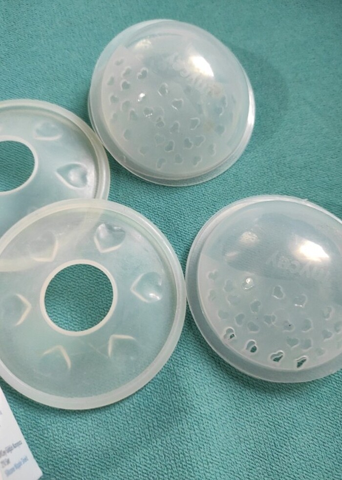 Göğüs Kalkanı - Görsel 2