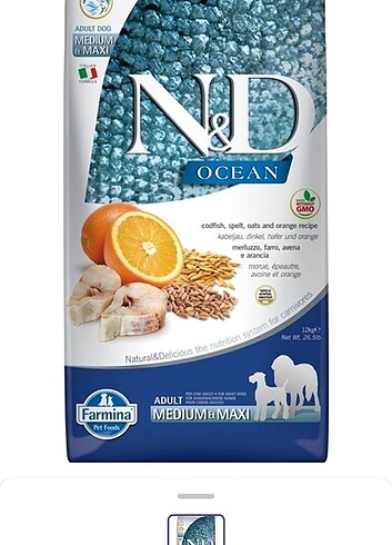 ND OCEAN KÖPEK MAMASI