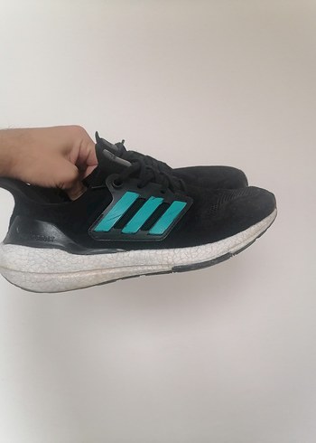 Adidas 43