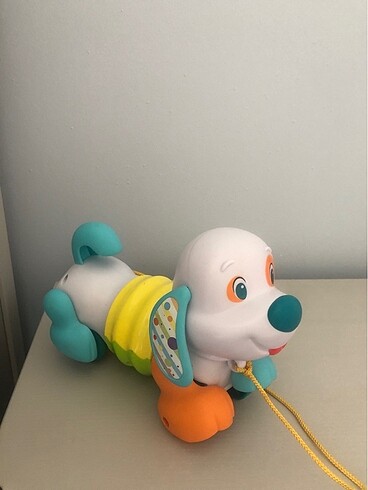 Diğer Tasmalı köpek