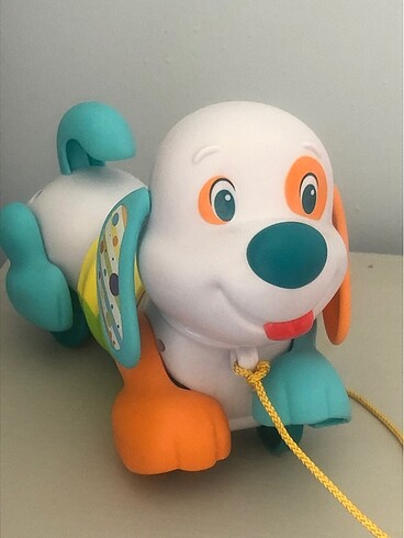  Beden Tasmalı köpek