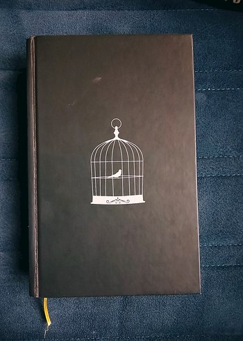 Serçeyi Öldürmek - Dilan Durmaz - Görsel 3