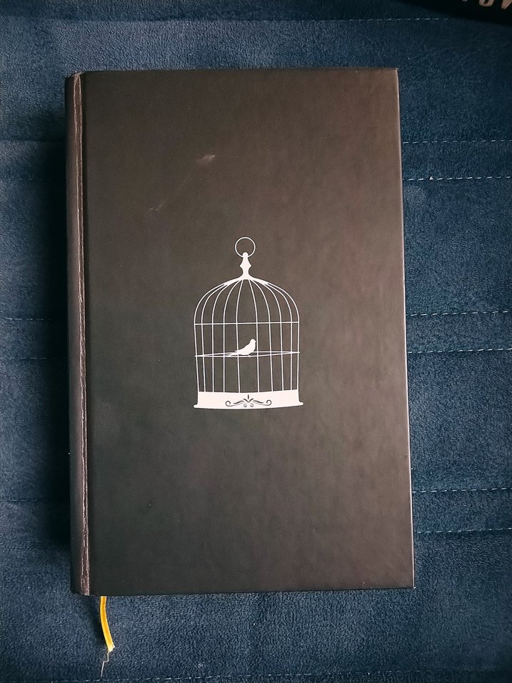 Serçeyi Öldürmek - Dilan Durmaz - Görsel 3