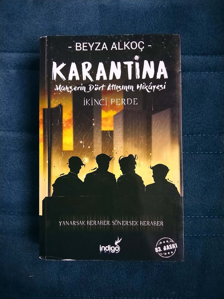 Beyza Alkoç - Karantina Roman Serisi - Görsel 3