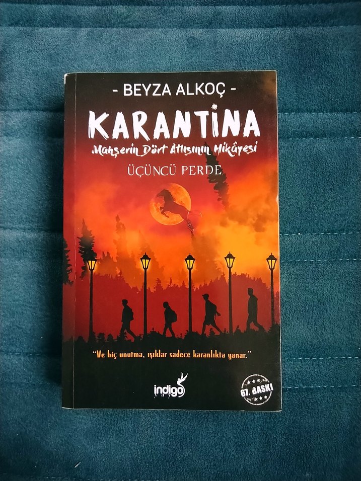 Beyza Alkoç - Karantina Roman Serisi - Görsel 4